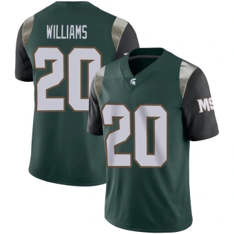 Youth Michigan State Spartans Keshawn Williams Football Jersey - Limited Green